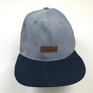 Billabong Hat Cap Snapback Gray Navy Blue Youth Adjustable Casual Kids Boys - Picture 1 of 9