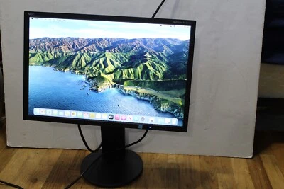 NEC MultiSync EA223WM-BK - 22" LED Monitor with Speakers - w/ VGA & POWER CORD - Image 1 of 4