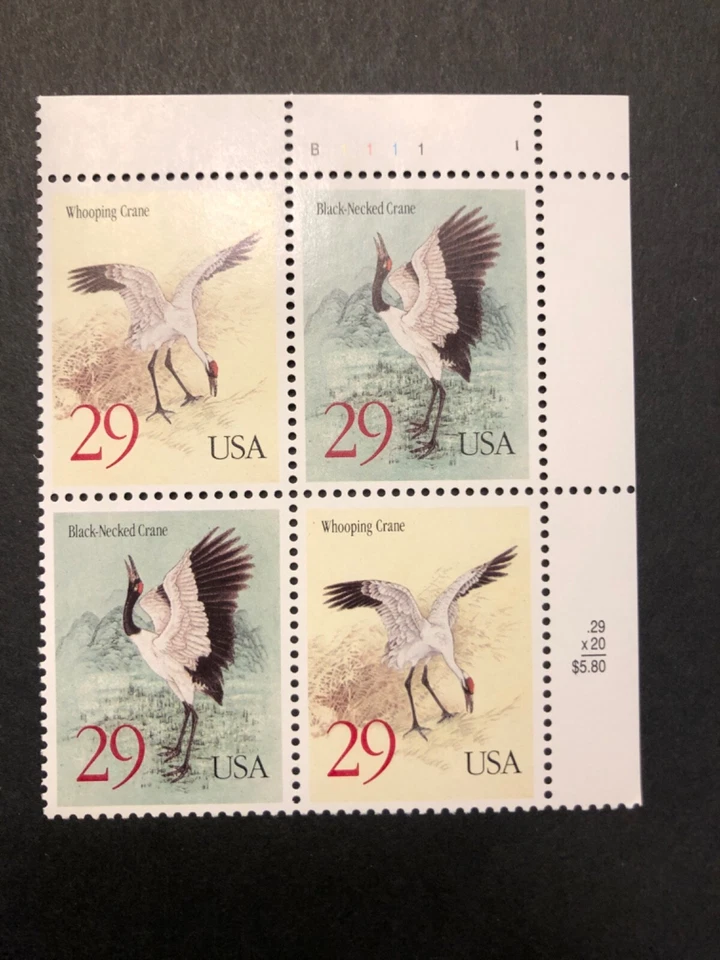 U.S. Stamps, Scott # 2867-2868(2868a), Top Right Plate #, Birds, Plate Block MNH - Image 1 of 1