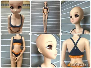 Smart Doll Mirai Evolve Body Cinnamon Danny Choo Culture Japan Brown Eyes - Picture 1 of 12