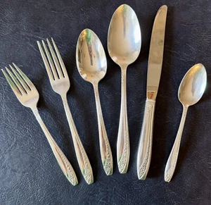 Juego de cubiertos Queen Mary aka Starlight 1953 Wm.Rogers plateados 41 piezas - Imagen 1 de 17