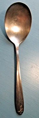 Wm. Cuchara para servir Rogers Tupperware Rose 8" largo 2" ancho tazón Foto 1 de 4