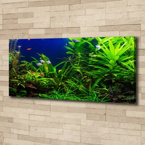 Leinwandbild Kunst-Druck 125x50 Bilder Landschaften Fische im Aquarium - Bild 1 von 6