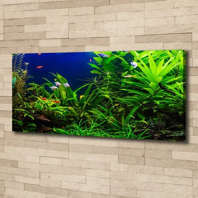 Leinwandbild Kunst-Druck 125x50 Bilder Landschaften Fische im Aquarium - Bild 1 von 4