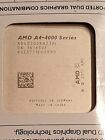 AMD A4 4020 Processor - Box Version with Fan
