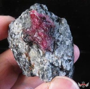 89GR. NICE EUDYALITE SPECIMEN - RUSSIA - Picture 1 of 5