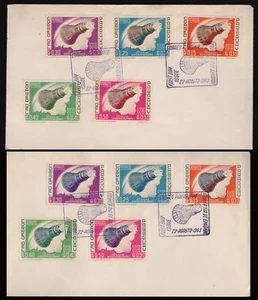 ASTRO-COVER-1963-PARAGUAY-PROJECT MERCURY FLIGHT OF L.GORDON COOPER-FDC - Picture 1 of 3