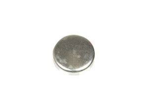 Dorman Expansion Plug fits Ford Thunderbird 1955-1958, 1995-1997 55YYQS - Picture 1 of 1