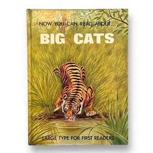 Now You Can Read About Big Cats Hardcover Step Reader Book - Picture 1 of 1
