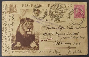 Südafrika Löwe Motiv Postkarte E1C47.16 - Bild 1 von 2