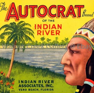 Florida Fruit Crate Label Fine Art Print, Native , approx 10.8"x 10.8" 12964 - Picture 1 of 1