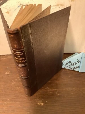 LUIGI BARBERIS Canaglia Minuscola ROMANZO PER FANCIULLI 1898 DITTA G. B. PARAVIA - Immagine 1 di 4