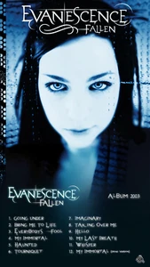 Póster foto 10x17 Evanescence Band 2003 gira Amy Lee - Imagen 1 de 1