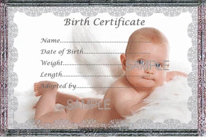 LACEY FRAMED BIRTH CERTIFICATE/CERTIFICATES 4 REBORN FAKE BABY approx 7"x 5" - Picture 1 of 1