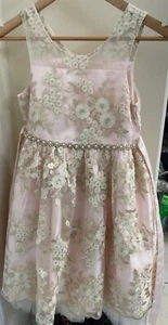 American Princess Pageant Dress SZ 10 Pink Flowers Coquette Party, layer full - Picture 1 of 9
