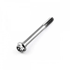 Titanium Race Drilled Hex Head M8 x 1.25mm x 75mm - Picture 1 of 1