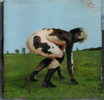 M.WALKING ON THE WATER - PICTURES OF AN EXHIBITIONIST - 6 TRACK CD RED GERMANY - Bild 1 von 2