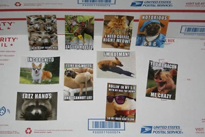 Juego de 10 pegatinas de memes de Pet Shop - Serie 5 - Emoji de perro - Novedad gato parodia - Imagen 1 de 8