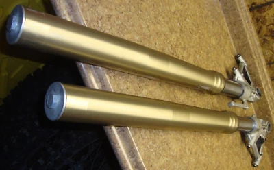 BMW F800 F800R F 800 R 2016 horquilla delantera tubos suspensión 16 Foto 1 de 4