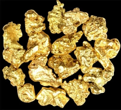 1.550 GRAMS ALASKAN YUKON BC NATURAL PURE GOLD NUGGETS #4 MESH - Image 1 of 4