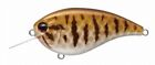 Evergreen Flat Force 6.2Cm 11.5G Small Mouse Bass Bass Lure From Stylish Anglers