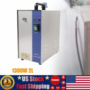 Jewelry Cleaner Steam Cleaning Machine Jewel Steamer Silver&Gold 2L 1300W - Picture 1 of 11