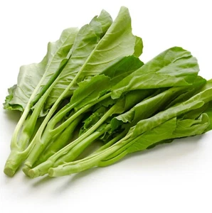 Chinese Kale Kailaan Kichi 300x Seeds - Vegetable - Picture 1 of 1