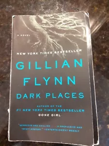 Dark Places : A Novel by Gillian Flynn (2010, Trade Paperback) - Picture 1 of 1