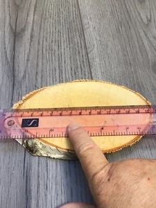 15 CM Holzstamm Scheiben Scheiben mit Rinde auf rustikalen Hochzeiten Handwerk 5er oder 7er Pack - Bild 1 von 2