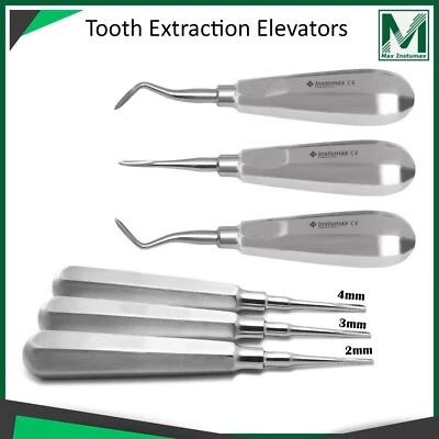 6 pcs Dental Luxating Elevators Extraction Surgical Instruments Oral Implant - Image 1 of 3