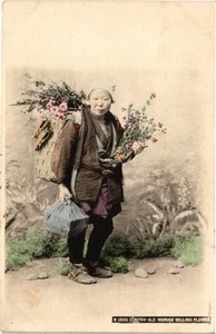 PC JAPAN ALTE FRAU VERKAUFT BLUME HANDGETÖNT (a74492) - Bild 1 von 2