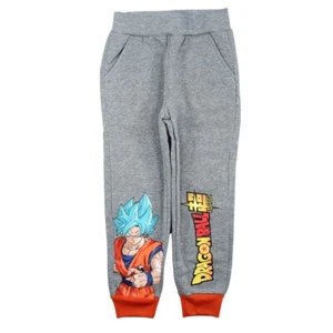 boys sweatpants. gray color. DragonBall Z - Picture 1 of 5