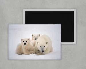 Polar Bear and cubs - Large Novelty Fridge Magnet - 8cm x 5cm Animal Lover Gift - Picture 1 of 1