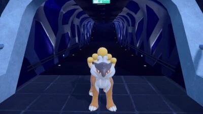 🐑Pokemon Raikou Shiny „Event“  2011 „Gamestop“ - Pokemon Home - Diamant/Perl🐑 - Bild 1 von 4