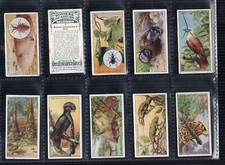 Tobacco cigarette cards set  Wonders of nature,1924, Flying Dragon,Chameleons
