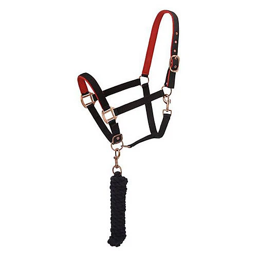 Soporte acolchado para caballo Tough1 con plomo Foto 1 de 1