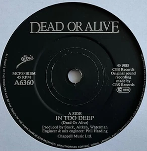 Dead Or Alive - In Too Deep - 7” Vinyl Single - Picture 1 of 3