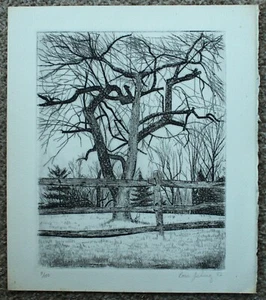 Hand Pulled Etching Titled "The Jersey Apple Tree" by Ross Fine Art - Picture 1 of 1