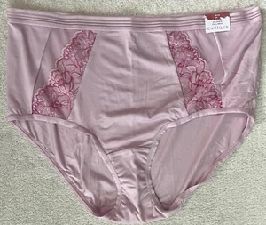 Bragas de encaje rosa calzoncillos completos Cacique No Show TALLA 18/20 NUEVAS CON ETIQUETAS - Imagen 1 de 5