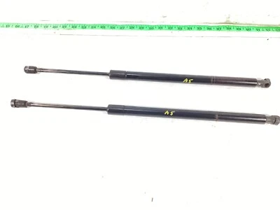 Par de puntales de cilindro de soporte para puerta levadiza Toyota Sienna 2011-2014 68950-08021 OEM. Foto 1 de 4