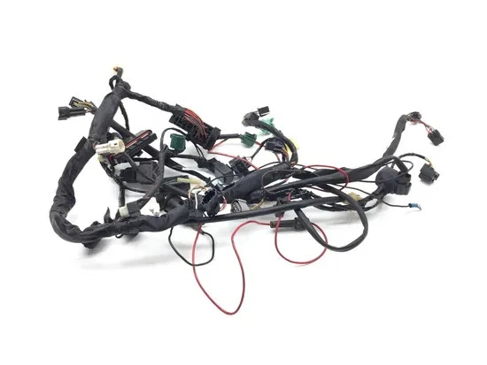 Main Engine Wiring Harness 2003 Suzuki Vstrom 1000 DL1000 3379 - Image 1 of 4