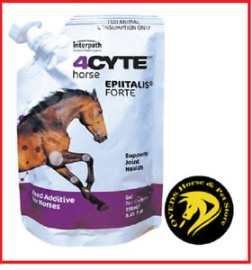 4Cyte Epiitalis Forte Gel 250mls Joint supplement for horses 