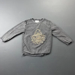 Zara Kids Sweatshirt Boy's 4 Years Gray Pool Shark Graphic Crewneck Pullover - Picture 1 of 13