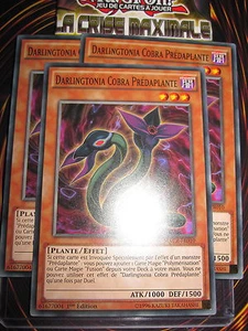 YU-GI-OH! COM DARLINGTONIA COBRA PREDAPLANTE MACR-FR010 PLAYSET (LOT 3 CARTES) - Picture 1 of 1