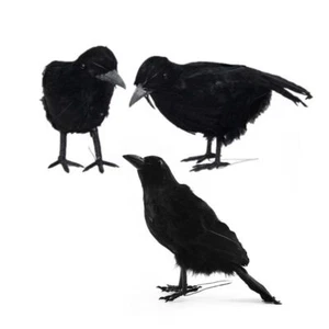 3pcs/set Simulation Crow Halloween Themed Party Ornaments Haunted House Decor - Picture 1 of 8