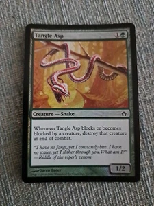 MTG - Tangle Asp (FOIL) - Fifth Dawn - NM - Picture 1 of 2