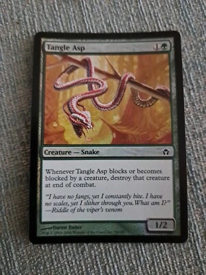MTG - Tangle Asp (FOIL) - Fifth Dawn - NM - Image 1 of 2