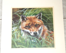 Red Fox in The Grass from Original Painting by Caraline Cook 92 Mounted Ready Fr