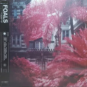 LP Foals Everything Not Saved Will Be Lost: Part 1 180G NEAR MINT Warner - Bild 1 von 1