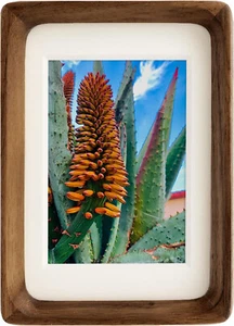 Natural Wood Photo Frames Inspired Tabletop Picture Frame with Mat, Walnut - Picture 1 of 32